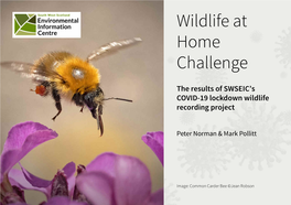 Wildlife at Home Challenge Summary Report