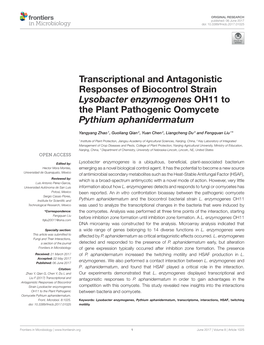Transcriptional and Antagonistic Responses of Biocontrol Strain Lysobacter Enzymogenes OH11 to the Plant Pathogenic Oomycete Pythium Aphanidermatum