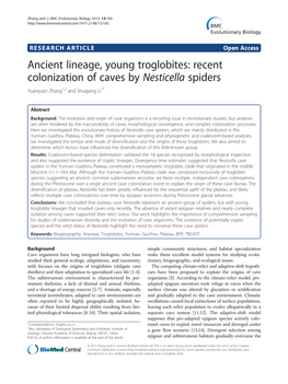 Ancient Lineage, Young Troglobites: Recent Colonization of Caves by Nesticella Spiders Yuanyuan Zhang1,2 and Shuqiang Li1*