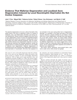 Evidence That Wallerian Degeneration and Localized Axon Degeneration Induced by Local Neurotrophin Deprivation Do Not Involve Caspases