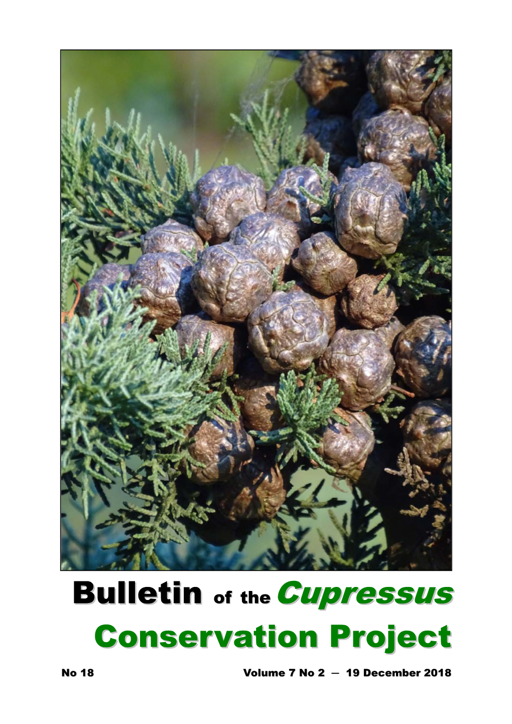 Cupressaceae): Evolutionary Aspects