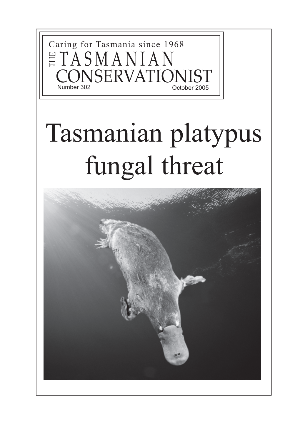 Tasmanian Platypus Fungal Threat
