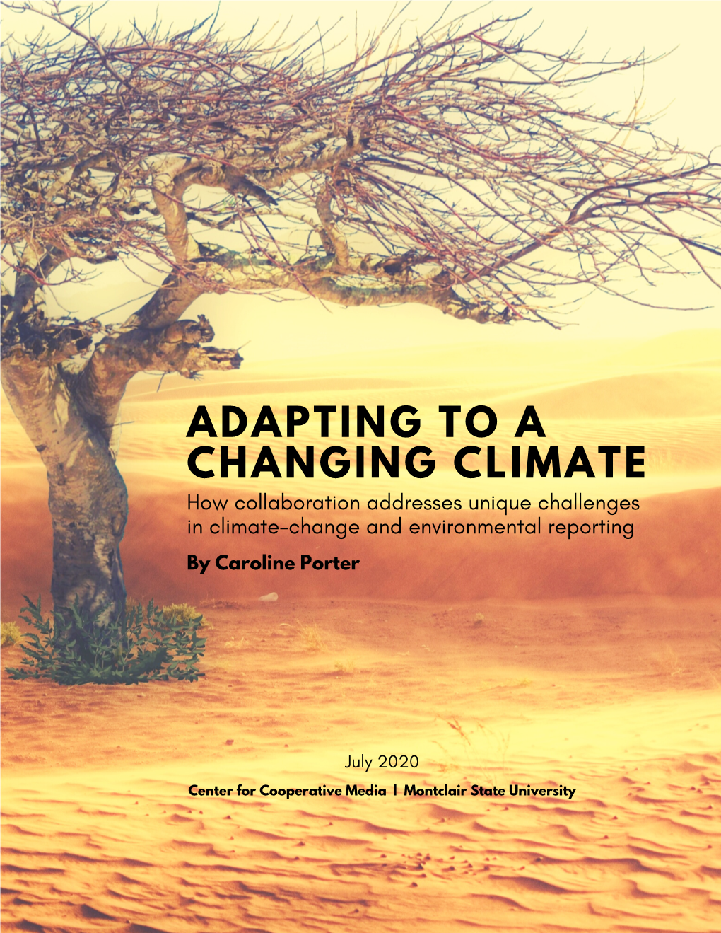 ADAPTING to a CHANGING CLIMATE How Collaboration Addresses Unique Challenges in Climate-Change and Environmental Reporting