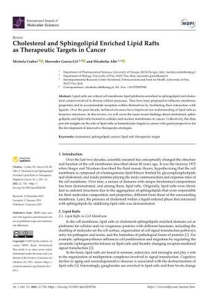 Cholesterol and Sphingolipid Enriched Lipid Rafts As Therapeutic Targets in Cancer