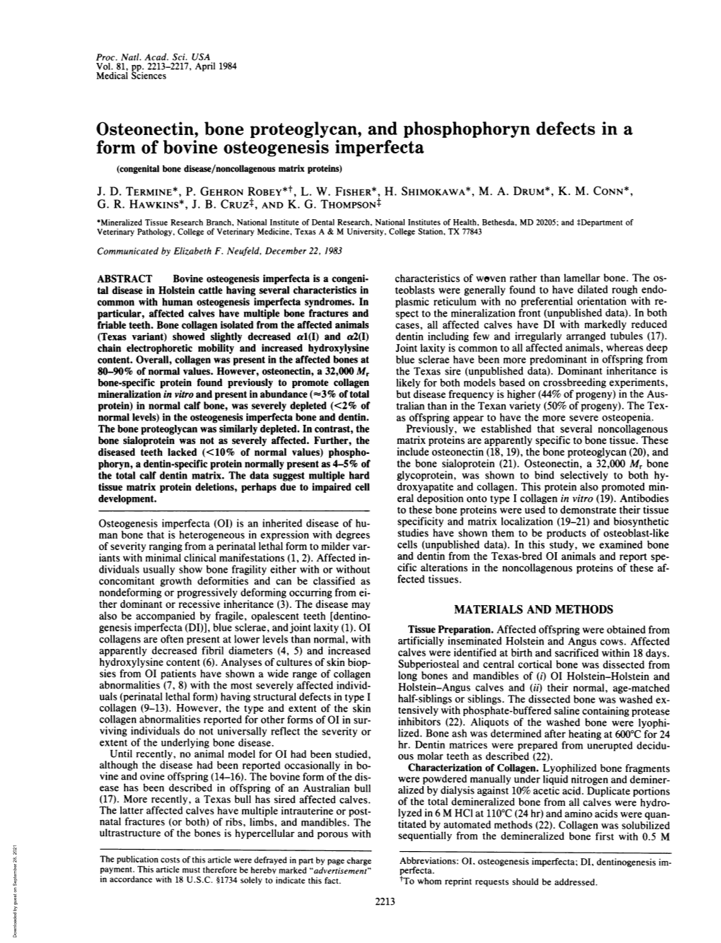 Osteonectin, Bone Proteoglycan, and Phosphophoryn Defects in a Form of Bovine Osteogenesis Imperfecta (Congenital Bone Disease/Noncollagenous Matrix Proteins) J