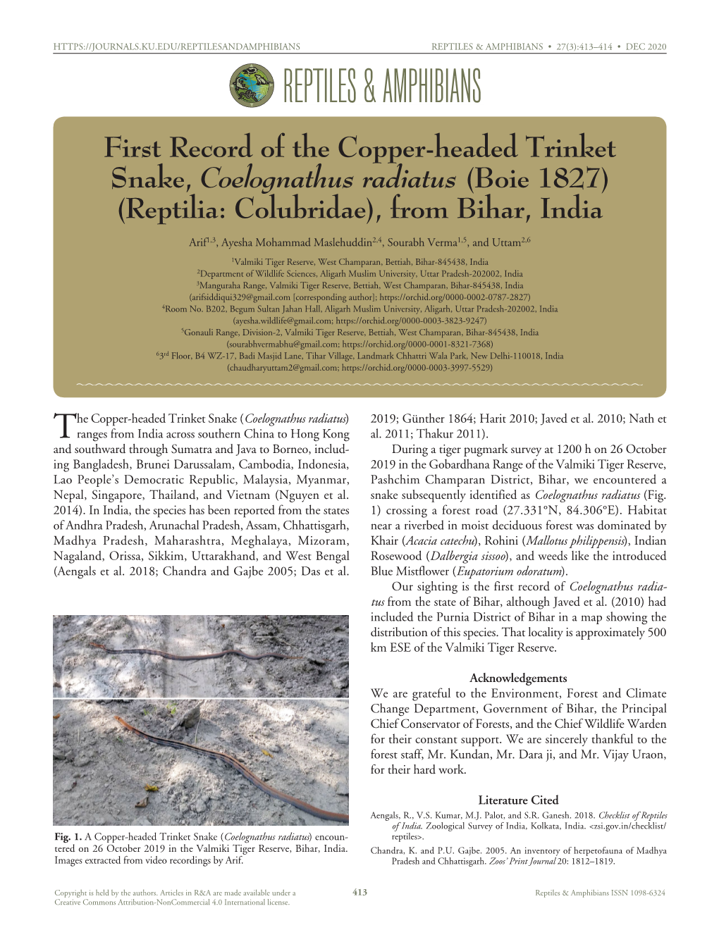 Coelognathus Radiatus) 2019; Günther 1864; Harit 2010; Javed Et Al