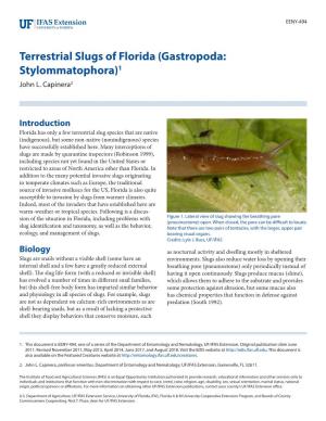 Gastropoda: Stylommatophora)1 John L
