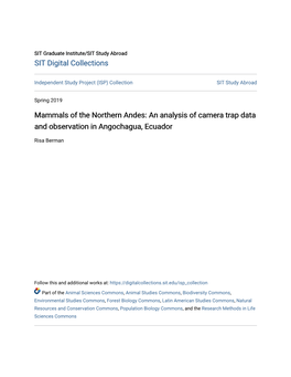 Mammals of the Northern Andes: an Analysis of Camera Trap Data and Observation in Angochagua, Ecuador