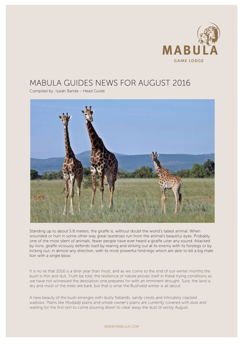 MABULA GUIDES NEWS for AUGUST 2016 Compiled By: Isaiah Banda – Head Guide