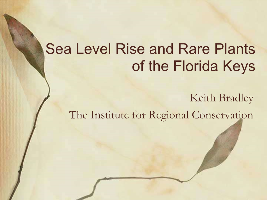 Sea Level Rise and Rare Plants of the Florida Keys