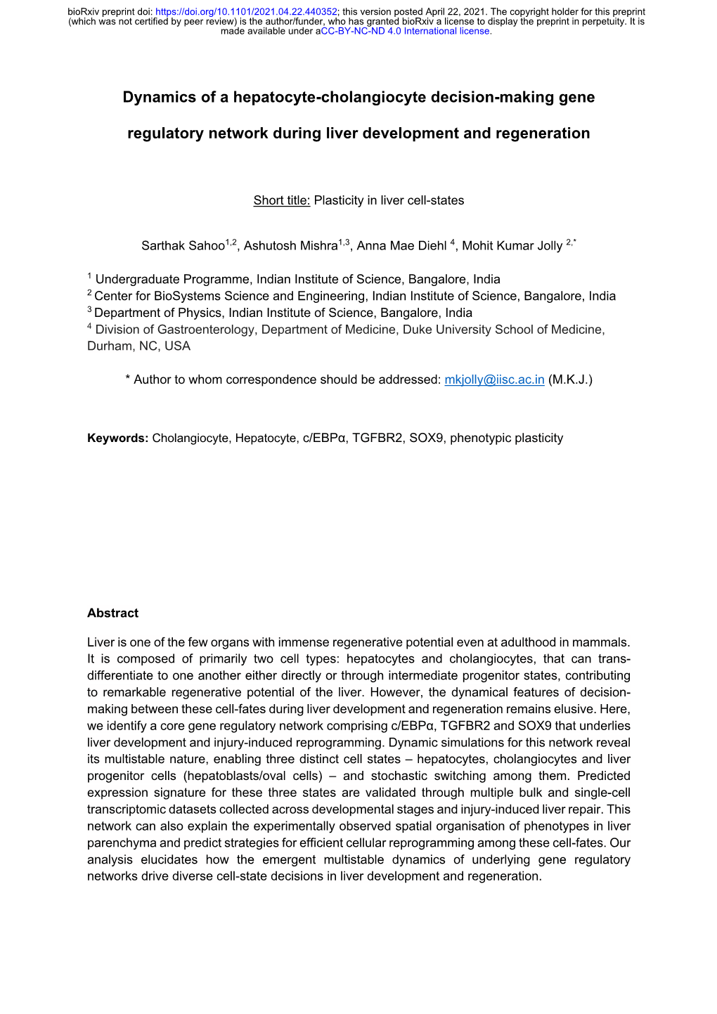 Dynamics of a Hepatocyte-Cholangiocyte Decision-Making Gene