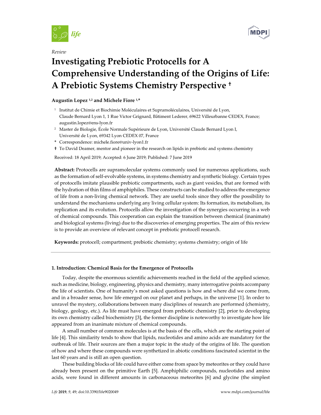 Investigating Prebiotic Protocells for a Comprehensive Understanding of the Origins of Life: a Prebiotic Systems Chemistry Perspective †