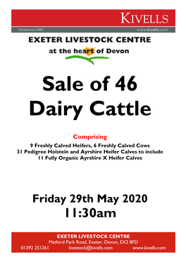 Sale of 46 Dairy Cattle