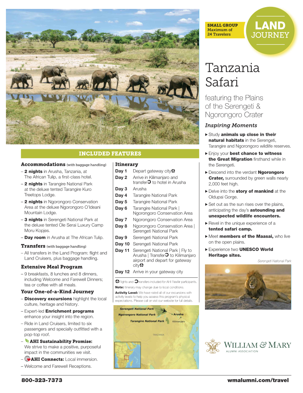 Tanzania Safari Featuring the Plains of the Serengeti & Ngorongoro Crater