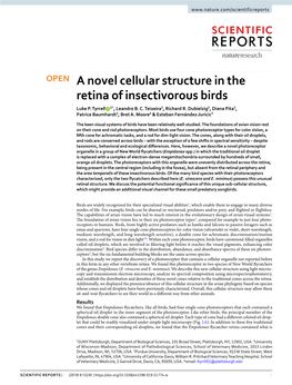 A Novel Cellular Structure in the Retina of Insectivorous Birds Luke P