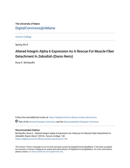 Altered Integrin Alpha 6 Expression As a Rescue for Muscle Fiber Detachment in Zebrafish (Danio Rerio)