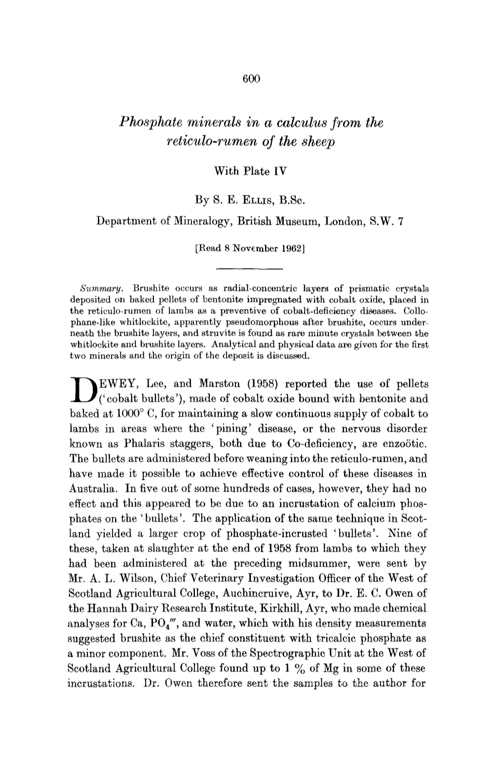 Phosphate Minerals in a Calculus from the Reticule-Tureen of the Sheep