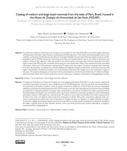 Catalog of Medium and Large-Sized Mammals from the State of Pará