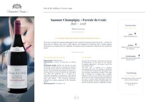 Saumur Champigny –Terroir De Craie