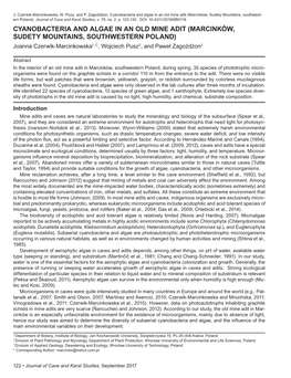 Cyanobacteria and Algae in an Old Mine Adit (Marcinków, Sudety Mountains, Southwest- Ern Poland)