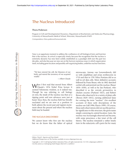 The Nucleus Introduced