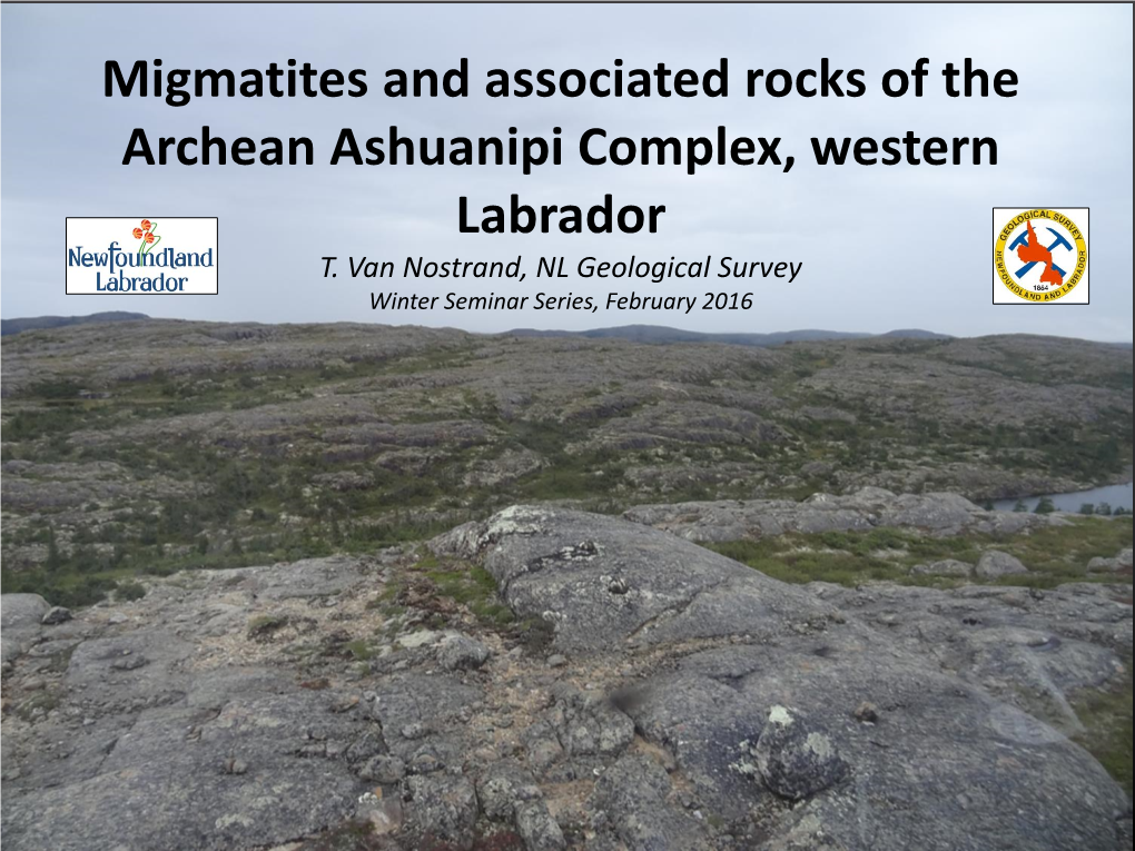 Migmatites and Associated Rocks of the Archean Ashuanipi Complex, Western Labrador T
