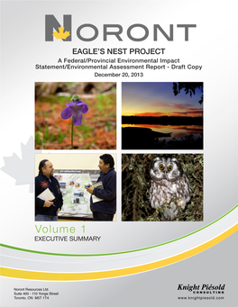 Eagle's Nest Draft Environmental Impact