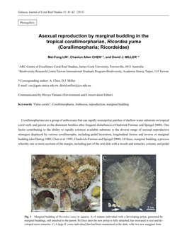 Asexual Reproduction by Marginal Budding in the Tropical Corallimorpharian, Ricordea Yuma (Corallimorpharia; Ricordeidae)
