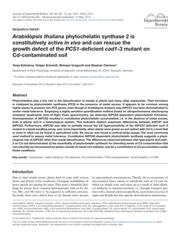Arabidopsis Thaliana Phytochelatin Synthase 2 Is Constitutively Active In