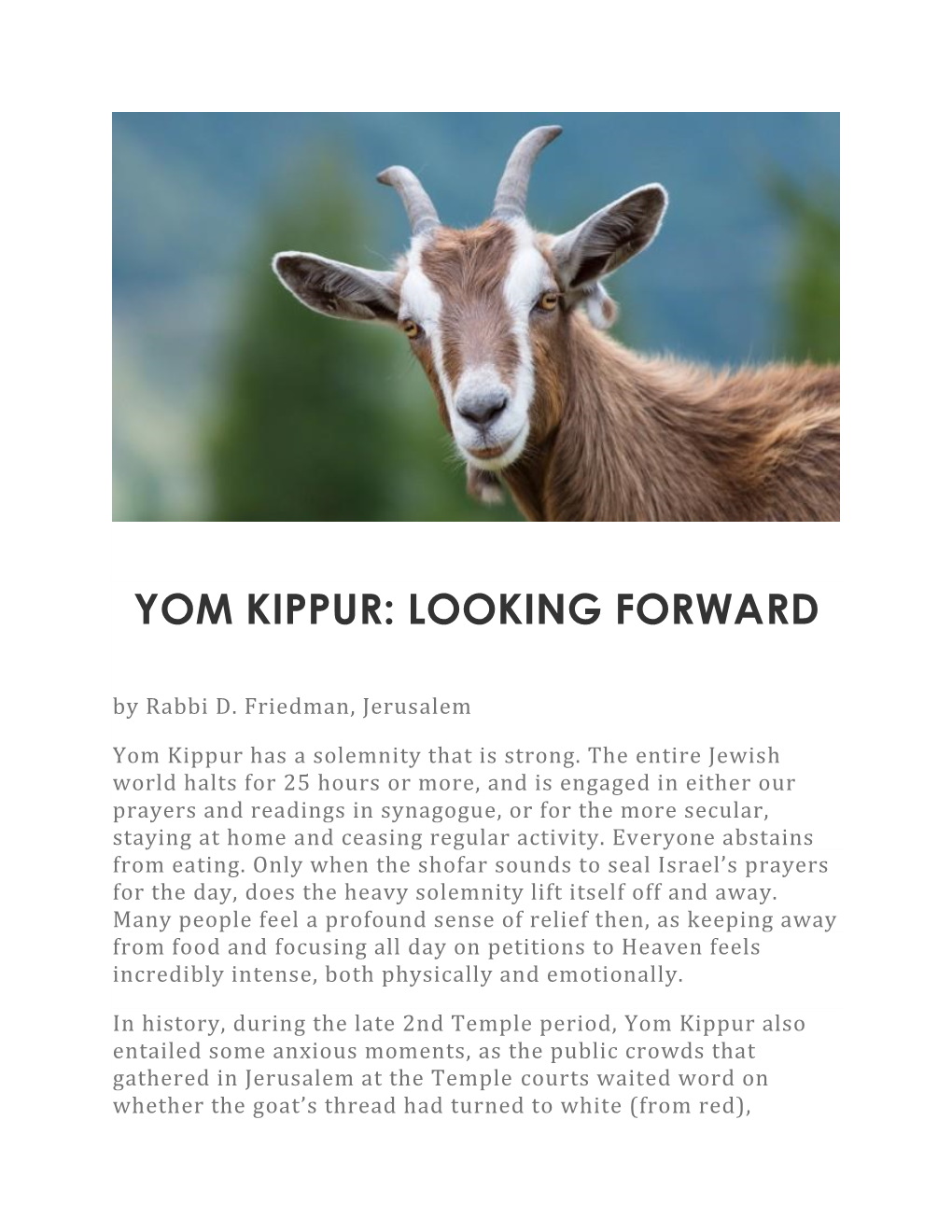 YOM KIPPUR: LOOKING FORWARD by Rabbi D