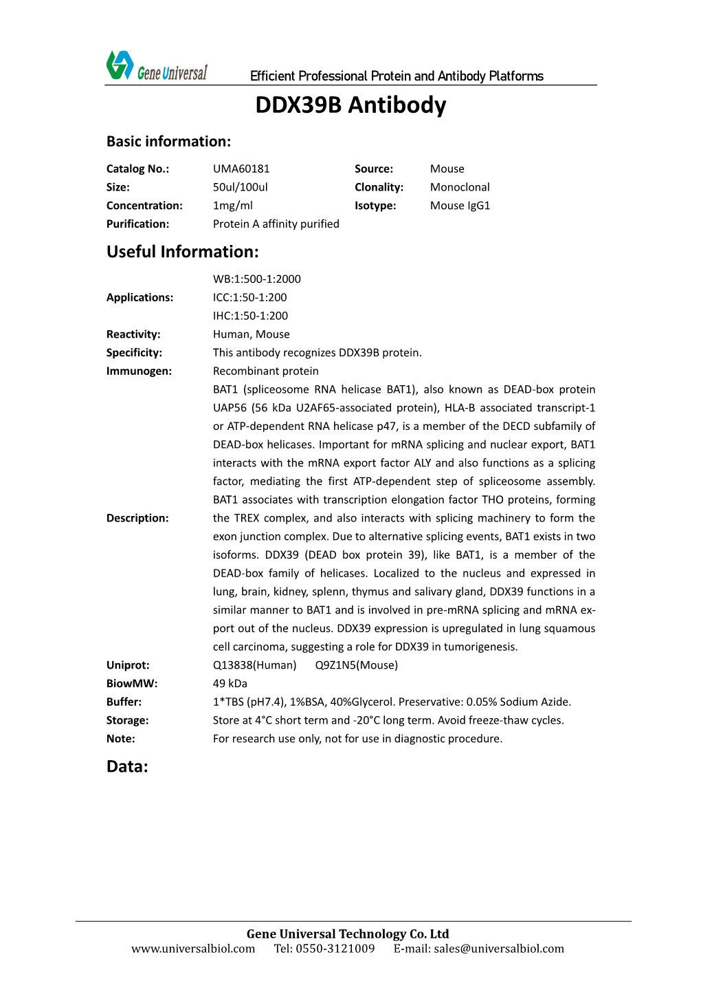 DDX39B Antibody