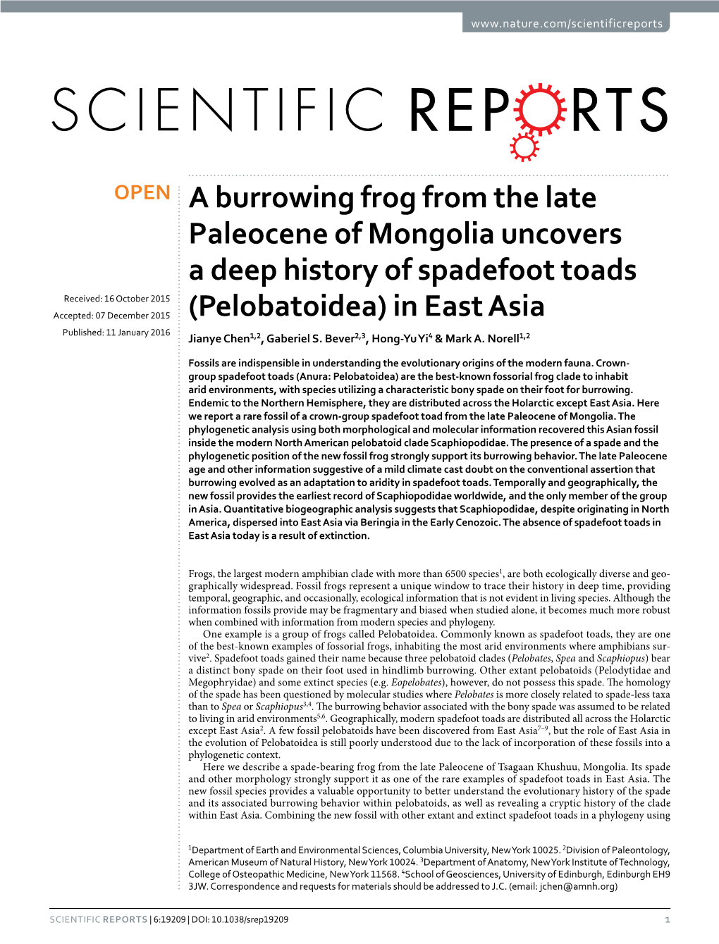 A Burrowing Frog from the Late Paleocene Of