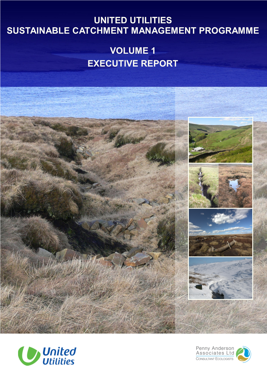 Scamp Vol 1 – Executive Report, October 2011