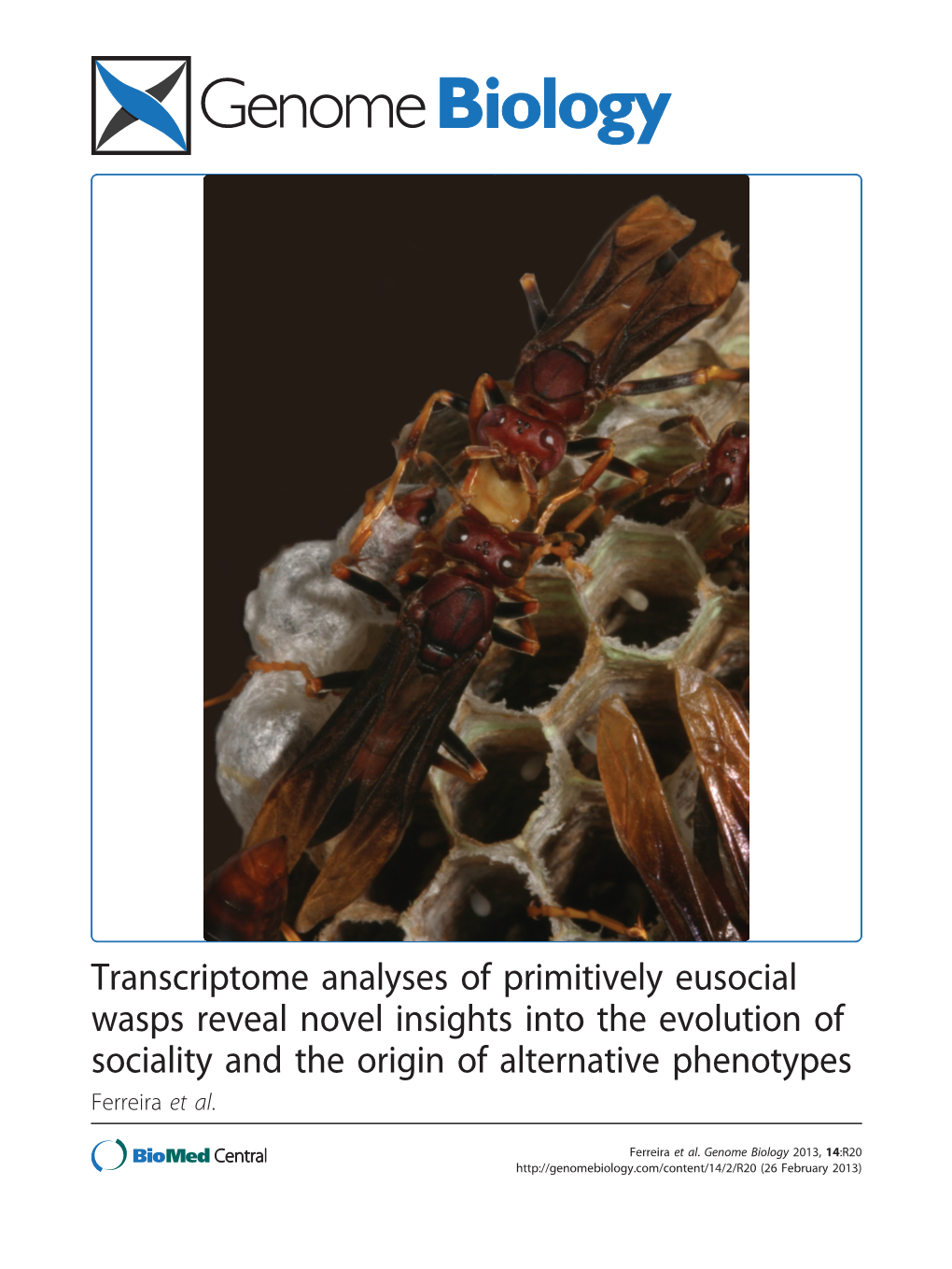 Transcriptome Analyses of Primitively Eusocial Wasps Reveal Novel Insights Into the Evolution of Sociality and the Origin of Alternative Phenotypes Ferreira Et Al