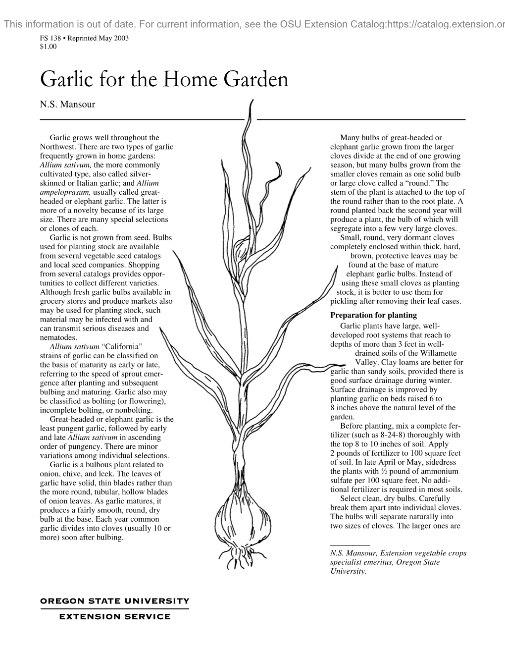 Plant Garlic
