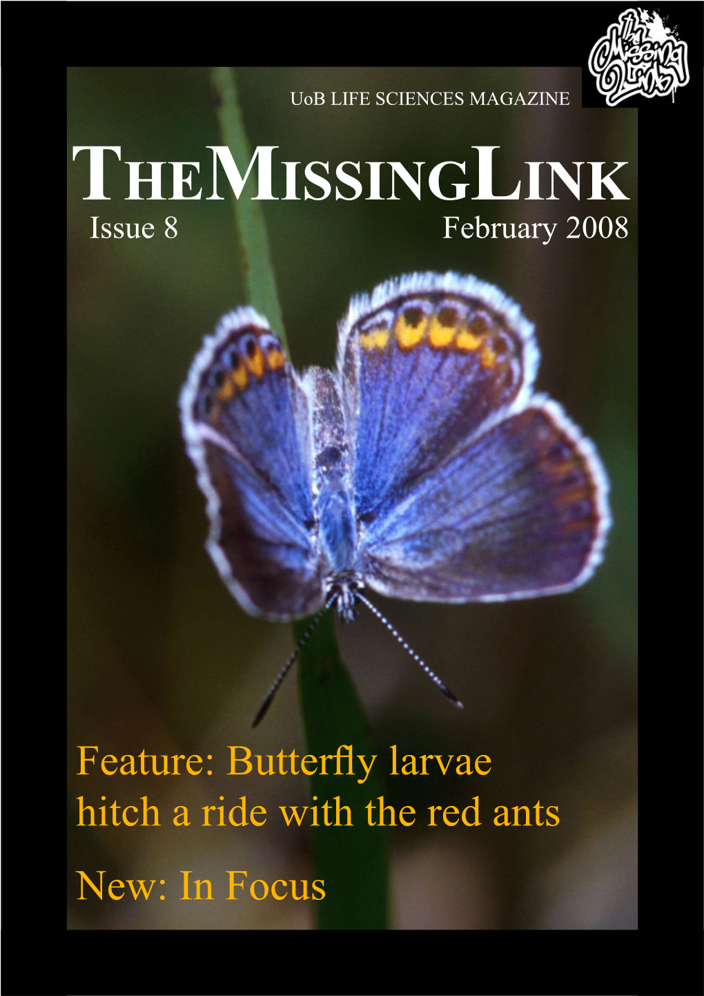 THEMISSINGLINK Issue 8 February 2008