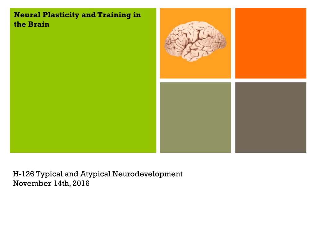 Training in the Brain