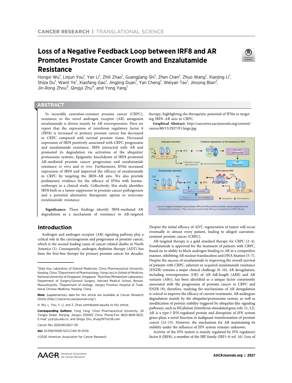 Loss of a Negative Feedback Loop Between IRF8