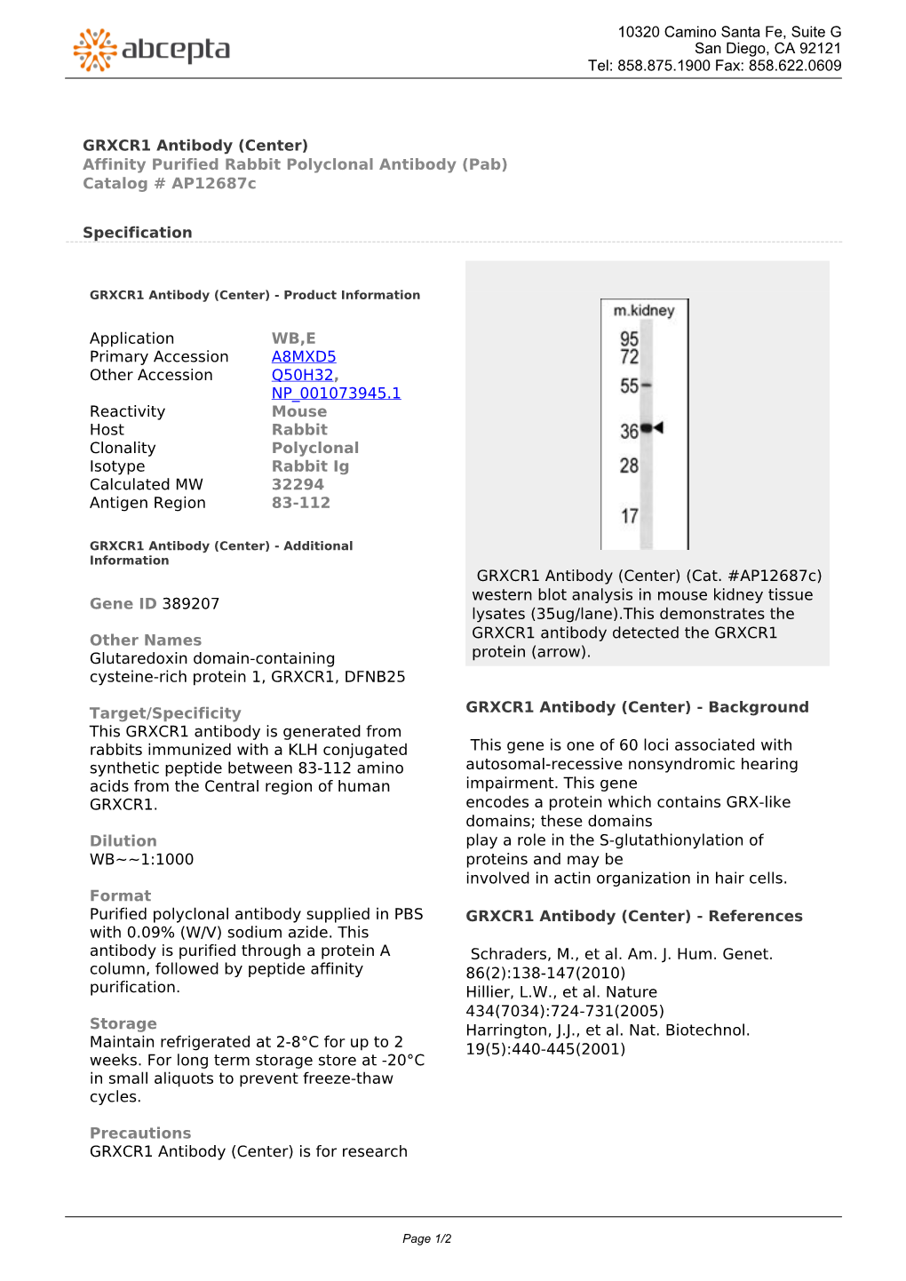 GRXCR1 Antibody (Center) Affinity Purified Rabbit Polyclonal Antibody (Pab) Catalog # Ap12687c