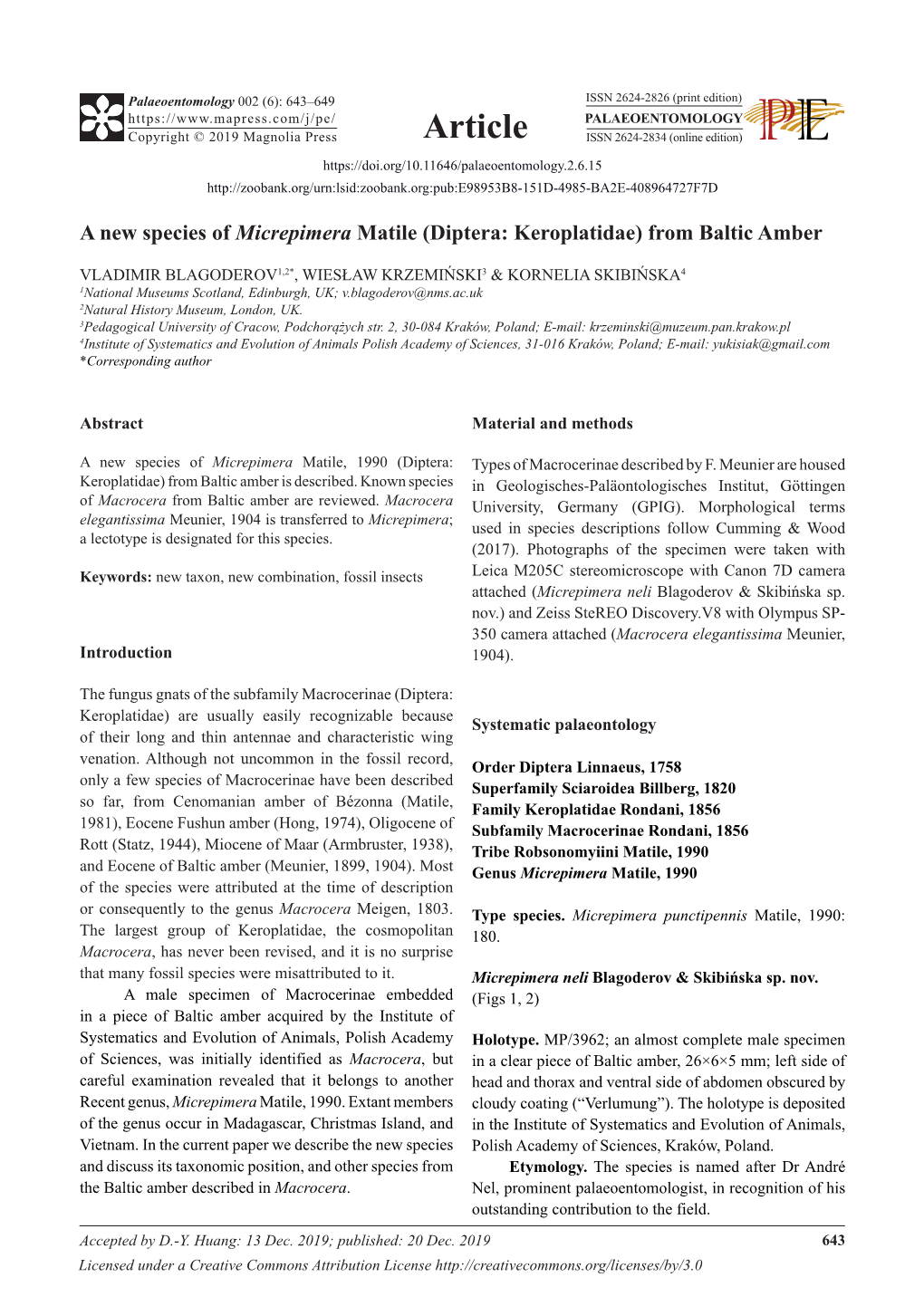 A New Species of Micrepimera Matile (Diptera: Keroplatidae) from Baltic Amber