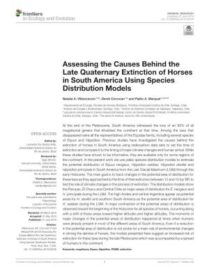 Assessing the Causes Behind the Late Quaternary Extinction of Horses in South America Using Species Distribution Models