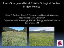 Leafy Spurge and Musk Thistle Biological Control in New Mexico