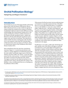 Orchid Pollination Biology1 Haleigh Ray and Wagner Vendrame2