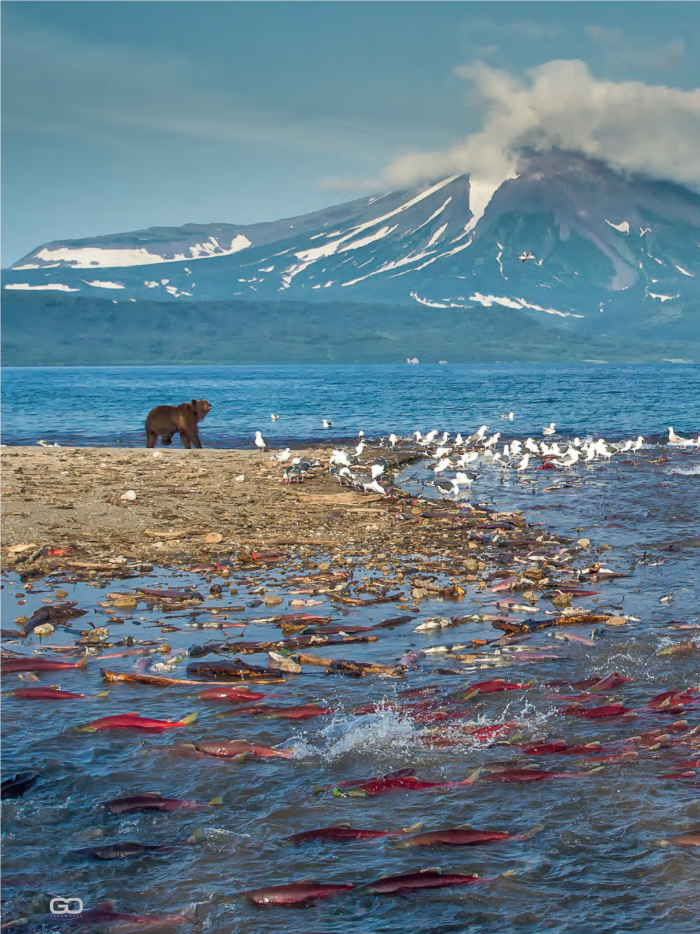 Kamchatka-Lake-Kuril-Article-In-English-By-Marco-Urso.Pdf