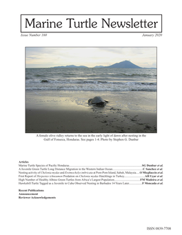 Marine Turtle Newsletter Issue Number 160 January 2020