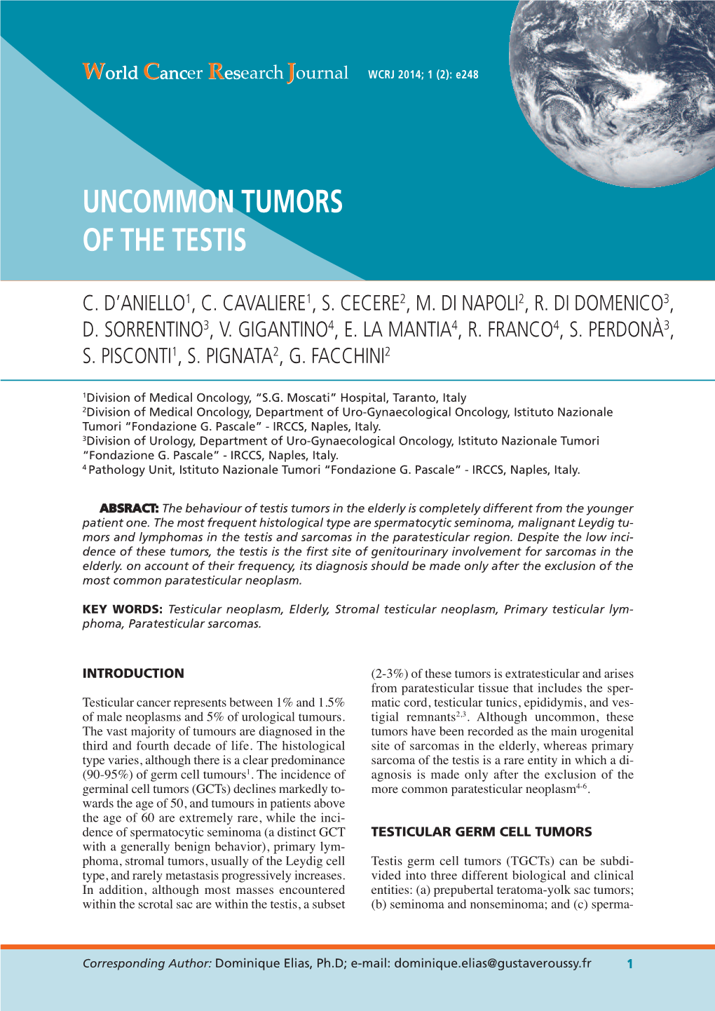Uncommon Tumors of the Testis