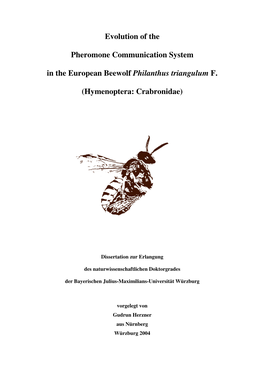 Evolution of the Pheromone Communication in the European Beewolf Philanthus Triangulum (Hymenoptera, Crabronidae)