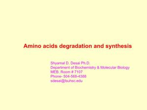 Amino Acids Degradation and Synthesis