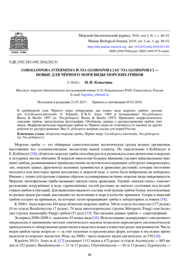 Corollospora Intermedia and Nia Globospora [As ’Nia Globispora’], Marine Fungi New for the Black Sea