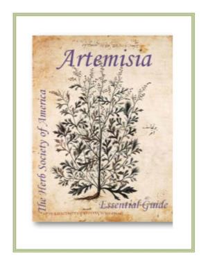 Artemisia Guide
